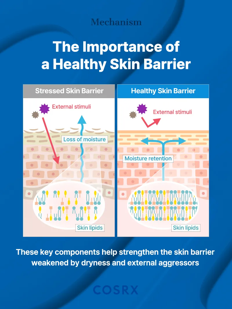 COSRX Skin Barrier Moisturizing Cream - Image 3